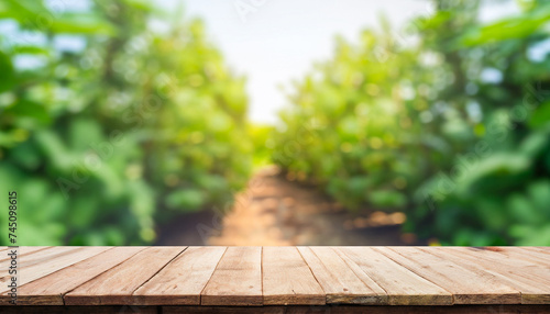 Empty wood table top and blurred green tree and fruit vegetable in agricultural farms background - can used for display or montage your products.