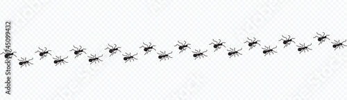 Ant trail. Little ant trail isolated on white backgrpund. Ants moving quickly in one direction. Ants moving in one row line. Group ants walk.