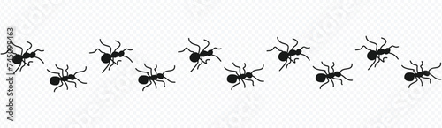 ant silhouette design. small animal sign and symbol.