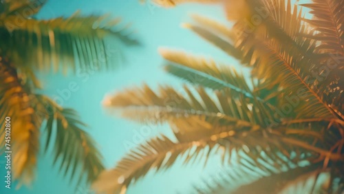 palm tree and sky landscape. 4k video animation photo
