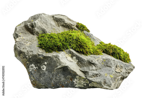 Big stone with moss isolated on transparent background