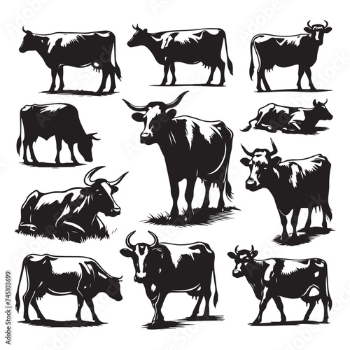 Set of cow silhouettes isolated on a white background  Vector illustration.