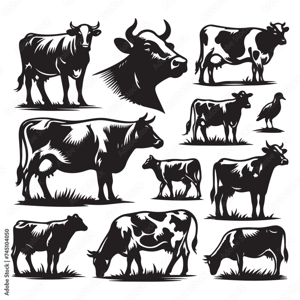 Set of cow silhouettes isolated on a white background, Vector illustration.