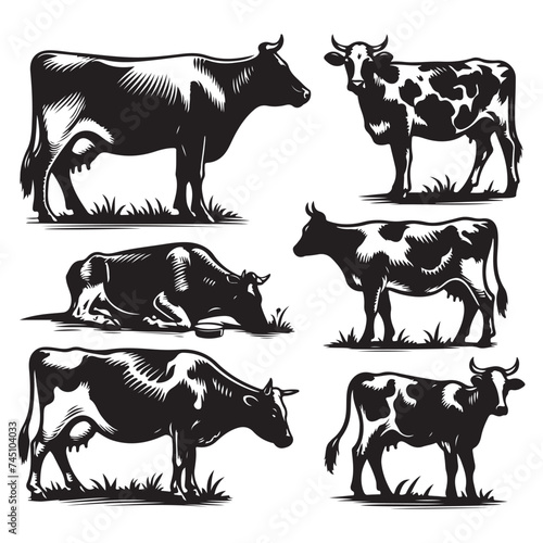 Set of cow silhouettes isolated on a white background, Vector illustration.