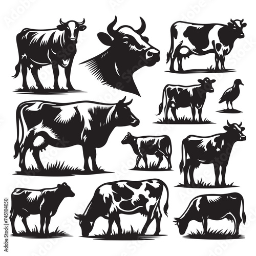 Set of cow silhouettes isolated on a white background  Vector illustration.