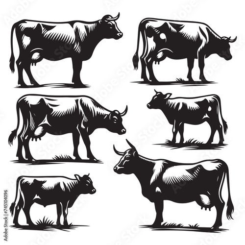 Set of cow silhouettes isolated on a white background, Vector illustration.