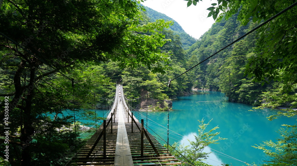 Fototapeta premium 夢のつり橋