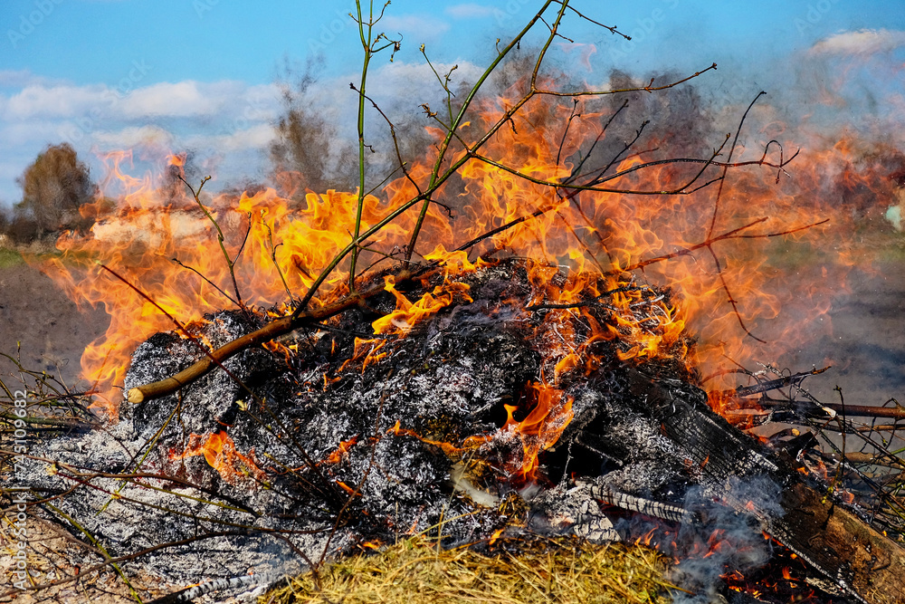 Bright flames leap from a pile of burning debris. Illegal burning of leaves and dry grass. Bright flames leap from a pile of burning debris. Illegal burning of leaves and dry grass.