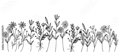 Black silhouettes of grass, flowers and herbs isolated on white background. Hand drawn sketch flowers  photo