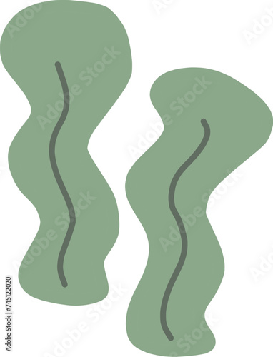 シンプルにデフォルメした手描きの海藻のイラスト