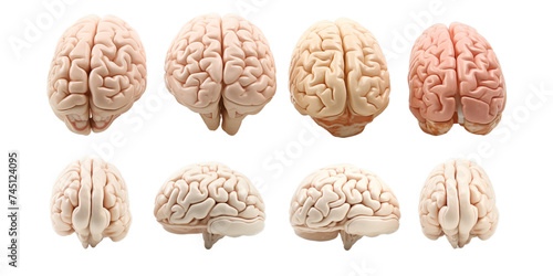 Collection of human brain isolated on a white background as transparent PNG