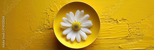 Delicate Beauty: White Daisies Blossom, Isolated on a Vibrant Yellow Background.
