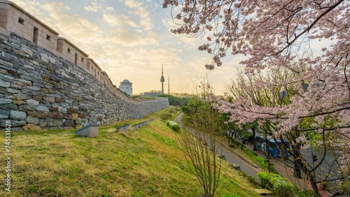 Time lapse 4K Morning light Cherry blossoms bloom in spring at Namsan mountain, a popular tourist destination in South Korea.