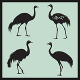 stitch in Motion black Silhouette vector, set of images of birds