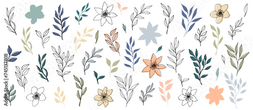 vector branch and leaves in trendy color palette and monochrome. Elegant branch for decoration. hand drawn botanical illustration for backgrounds. Template for wedding cards, polygraph, logo, tattoo.