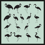 Flamingo black silhouette set vector