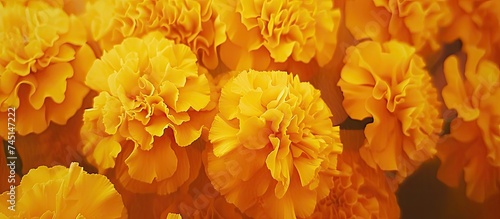 A bunch of bright yellow marigold flowers arranged in a vase, standing tall and bringing a burst of vivid color to the room.