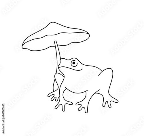 Vector isolated one single frog toad with mushroom  under colorless black and white contour line easy drawing photo