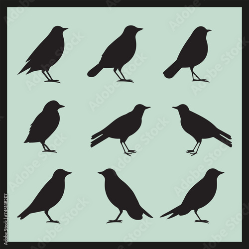 Mynah black silhouette set, set of birds silhouettes