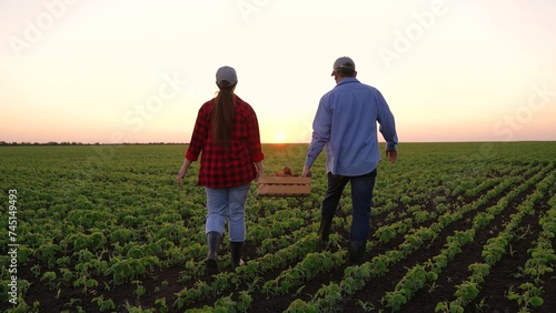 two farmers businessmen carry potatoes box sale, agriculture, senior agronomist engineer farmer walking through field talking employee, working man field, harvesting farm, business team work, walking