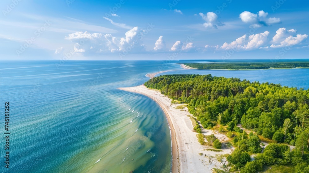 Aerial view of a stunning coastline with forest and blue sky.