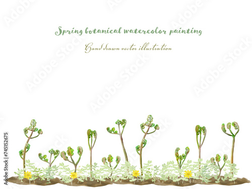 わらびのフレーム