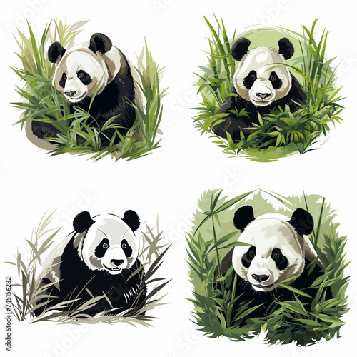 Panda (Panda in Bamboo Forest). simple minimalist isolated in white background vector illustration