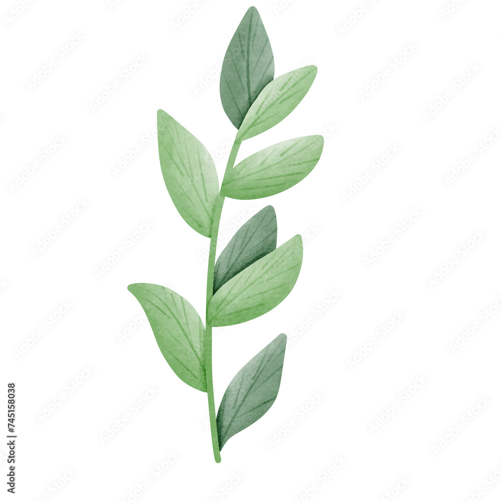 Green leave Green leave