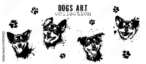 Cute dogs art in different poses. Pets silhouettes  various dogs  shown sitting and lying down. Vector collection of drawn dogs with lots of details and artistic spots.