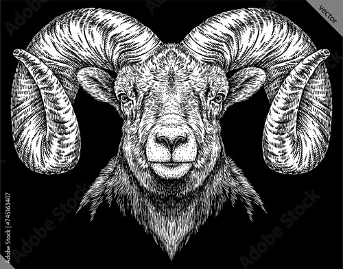 Vintage engraving isolated lamb set illustration ram ink sketch. Farm animal sheep background mutton silhouette art. Black and white hand drawn vector image