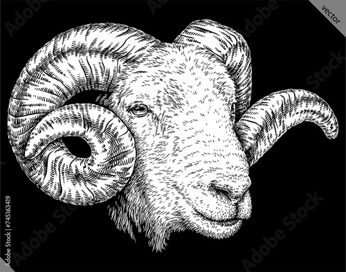 Vintage engraving isolated lamb set illustration ram ink sketch. Farm animal sheep background mutton silhouette art. Black and white hand drawn vector image