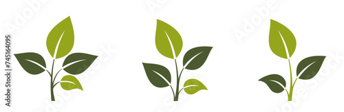 plant twig icons. botanical, eco and nature symbols. isolated vector illustrations