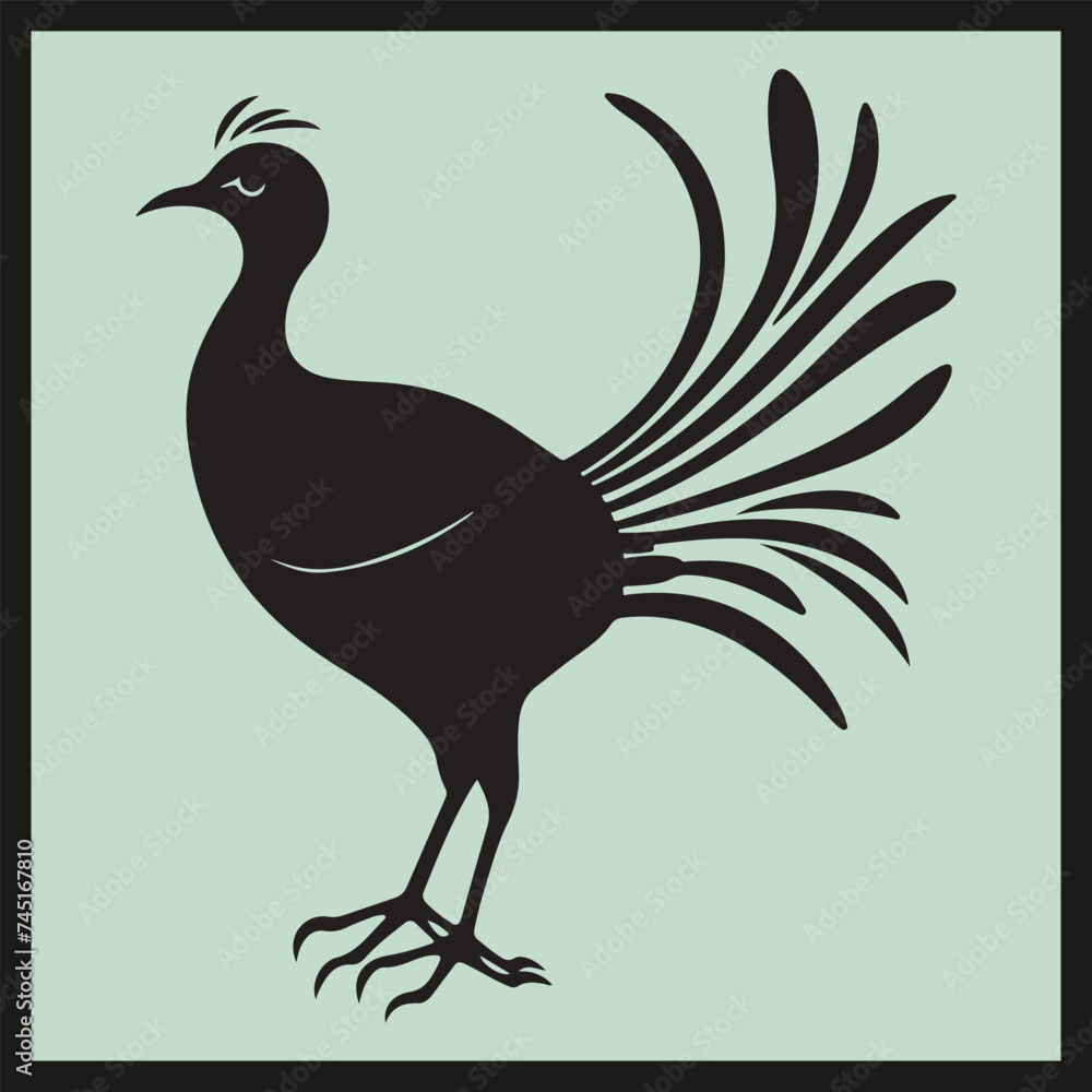 Lyrebird black silhouette set vector, illustration of an eagle Lyrebird black silhouette set vector, illustration of an eagle