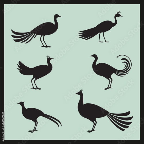 Lyrebird black silhouette set vector, set of silhouettes of birds
