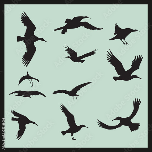 Albatross black silhouette set, silhouettes of birds