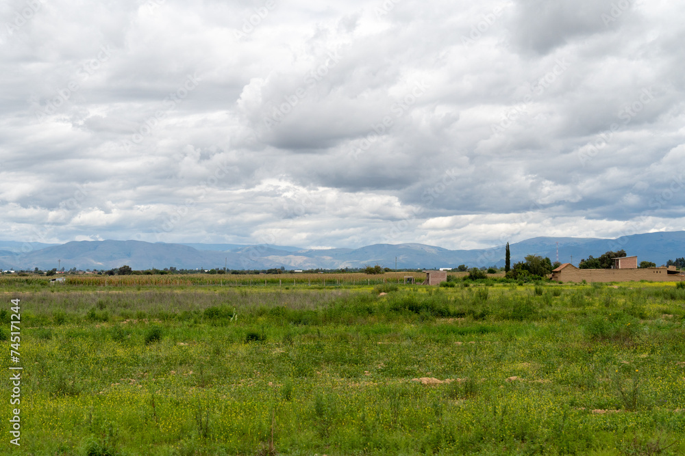 rural scenery of a crop field with mountains in the background, cloudy day
