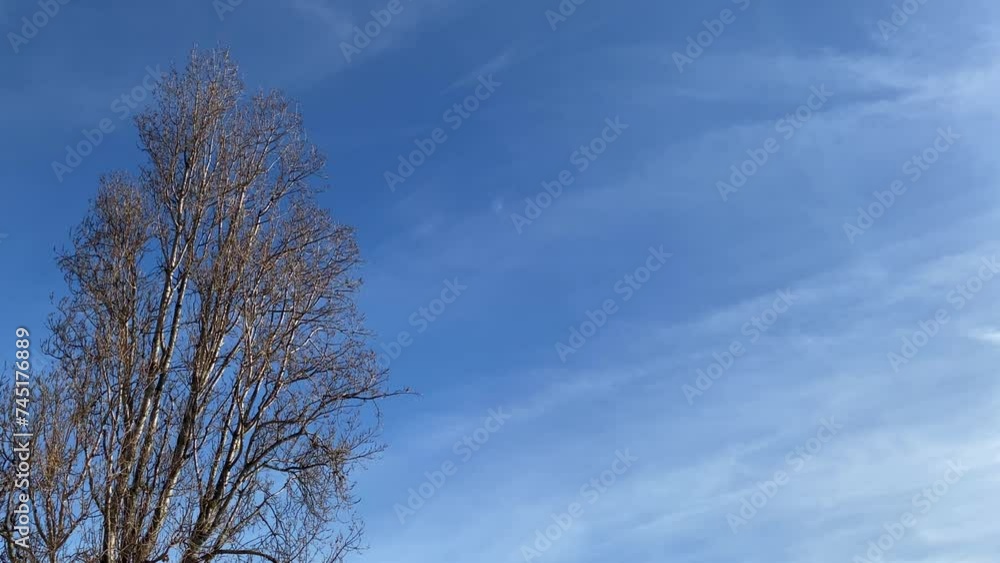 airplane flies over the city in a blue sky with white clouds airplane flies over the city in a blue sky with white clouds