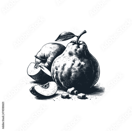 The paer fruit. Black white vector illustration.