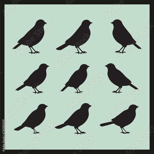 Canary black silhouette set vector, collection of birds