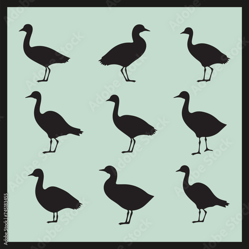 collection of birds, Coot black silhouette set vector