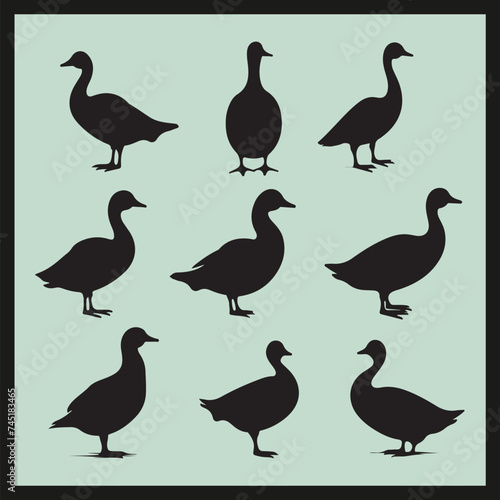 Coot black silhouette set vector,, set of birds