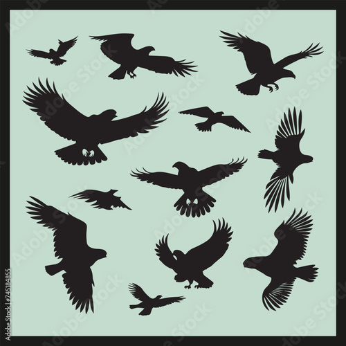 Eagle black silhouette set vector, silhouettes of birds