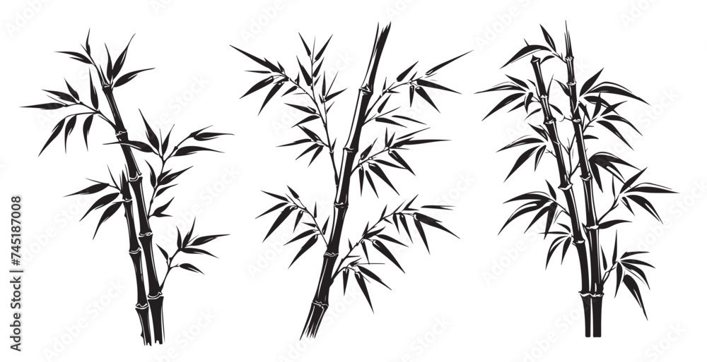 Naklejka premium Bamboo hand drawn style, illustrations 