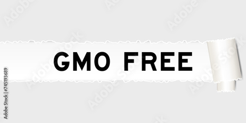 Ripped gray paper background that have word GMO (abbreviation of Genetically Modified Organisms) free under torn part