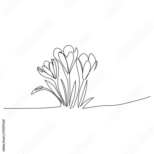  line art, bouquet of flowers crocus spring and summer, drawing with one line. vector illustration white background