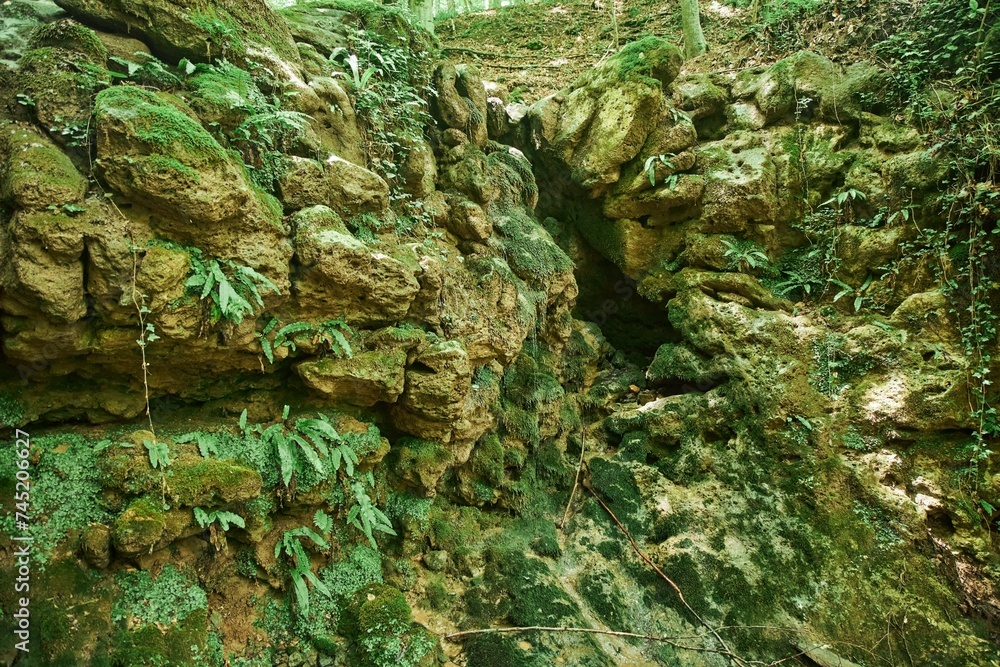 A miniature cave or grotto covered with moss. Speleology and surveys A miniature cave or grotto covered with moss. Speleology and surveys