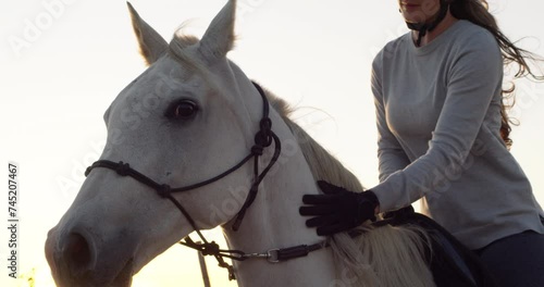 Love, horse riding or woman in countryside outdoor with rider or jockey for recreation or adventure. Relax, brush or person with care or healthy pet animal for training, exercise or wellness on farm