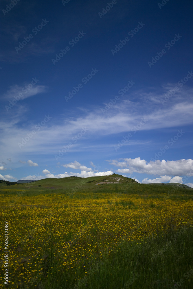 green field and sky Meadow in Meilogu. Muros, SS, Sardinia. Italy