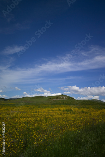 green field and sky Meadow in Meilogu. Muros  SS  Sardinia. Italy