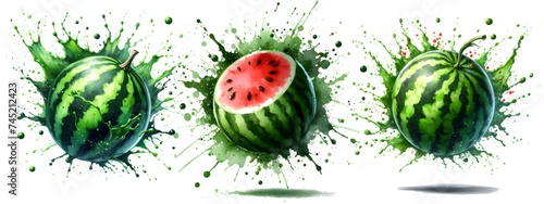 watermelon watercolor vector isolated on white 